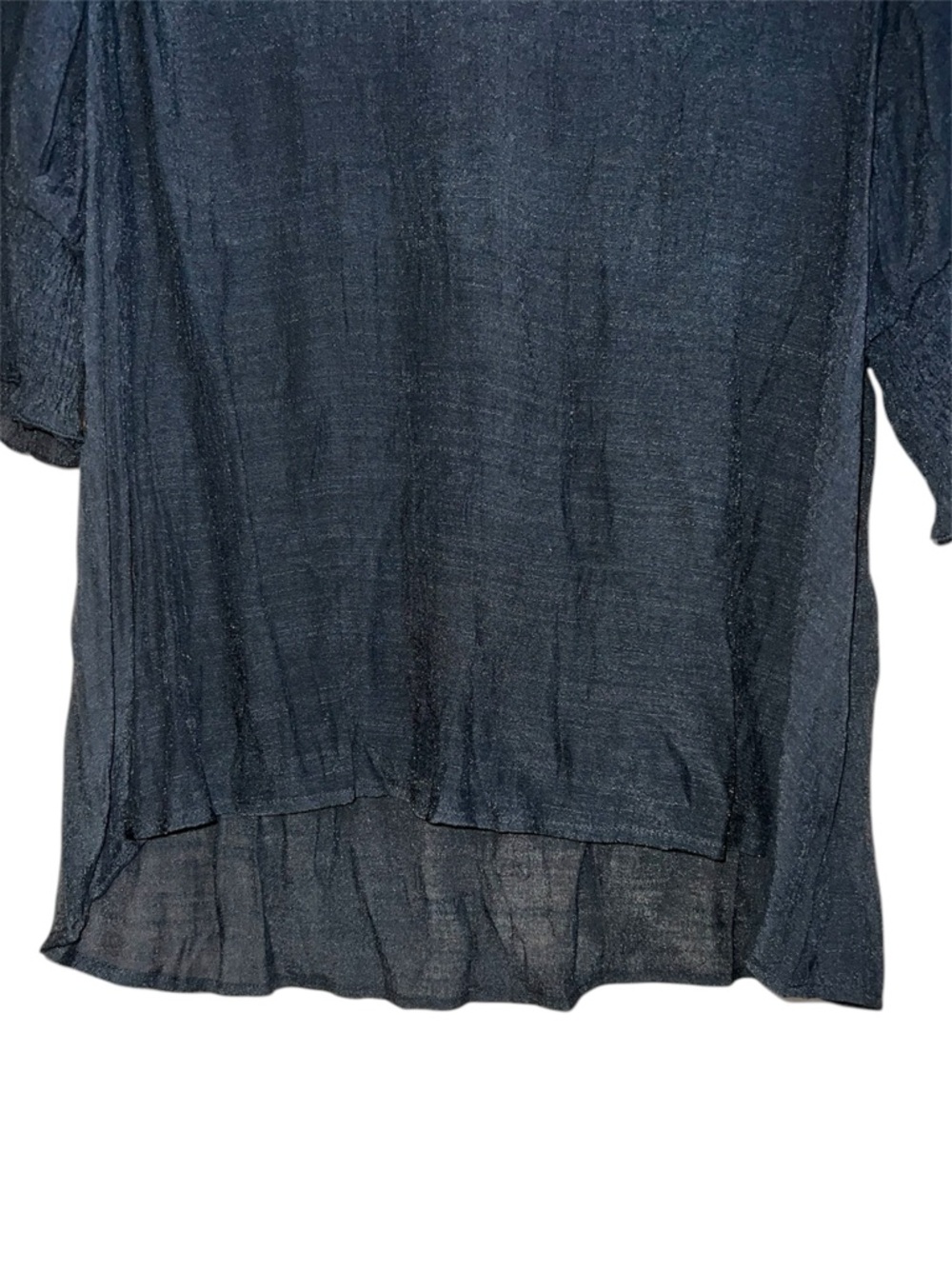 𝐒𝐇𝐄𝐈𝐍 𝐂𝐔𝐑𝐕𝐄 | BLACK SHEER V-NECK TOP - Picture 4 of 6